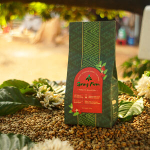 Cà phê đặc sản Spring Farm – Hương vị tinh túy từ Đắk Nông